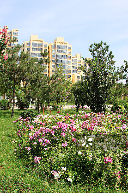 河北滦南成兆才纪念公园风光图片素材