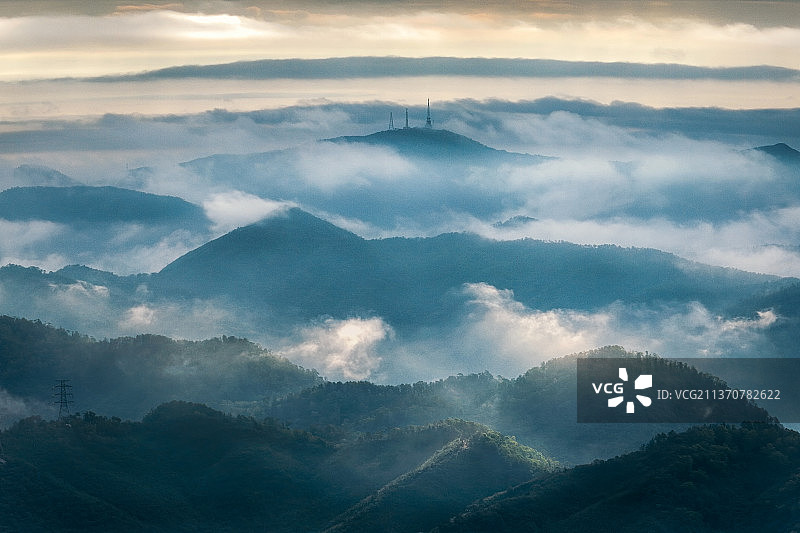 航拍广东中山五桂山自然风景区水杉与山脉云海图片素材