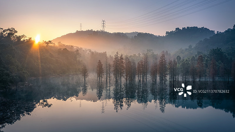 航拍广东中山五桂山自然风景区水杉与山脉云海图片素材
