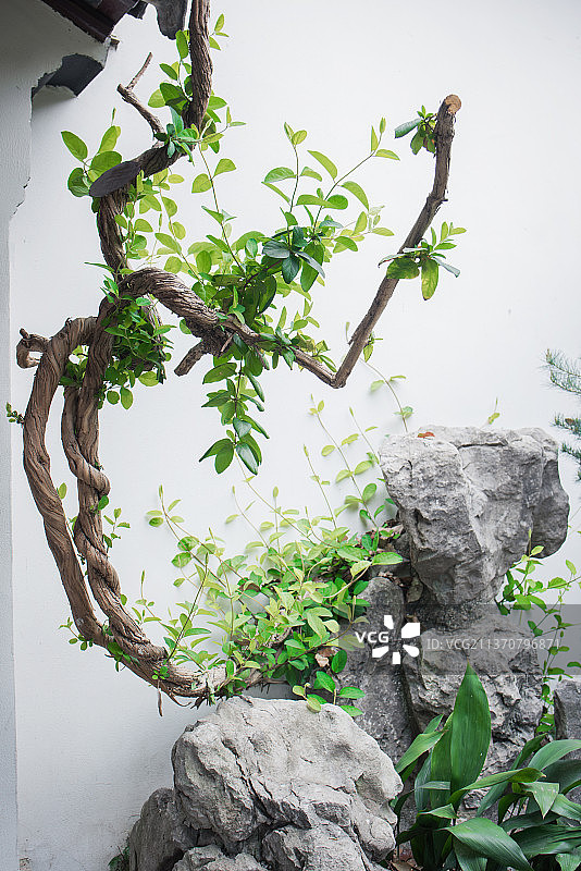 总统府图片素材