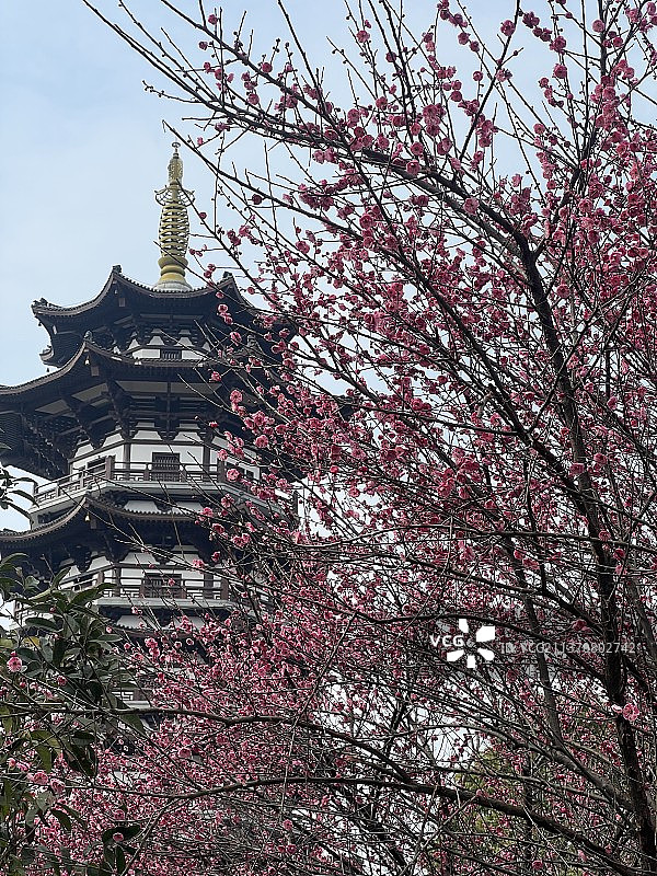 湖南省长沙市洋湖湿地白鹭塔图片素材