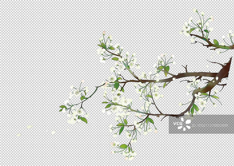 中国风花卉素材图片素材