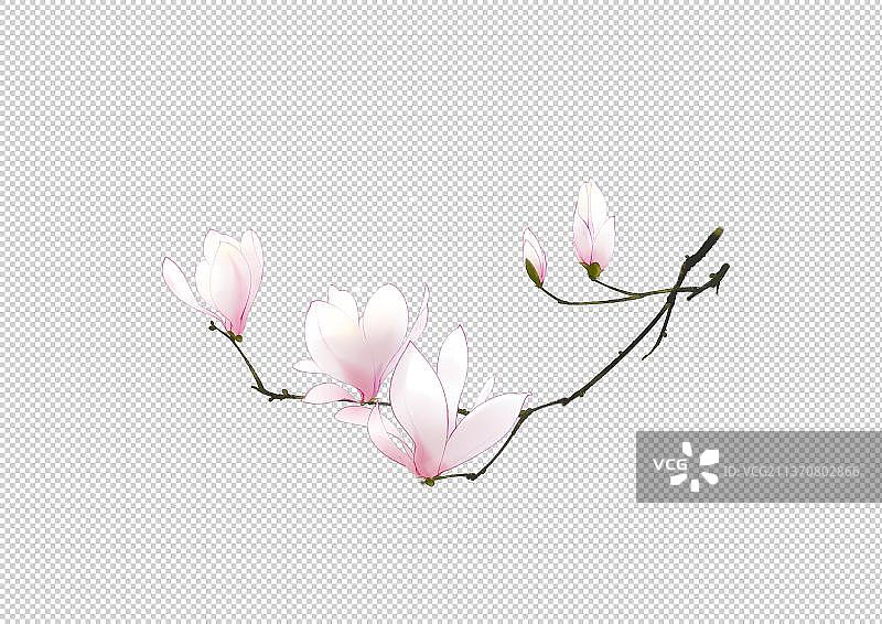 中国风花卉素材图片素材