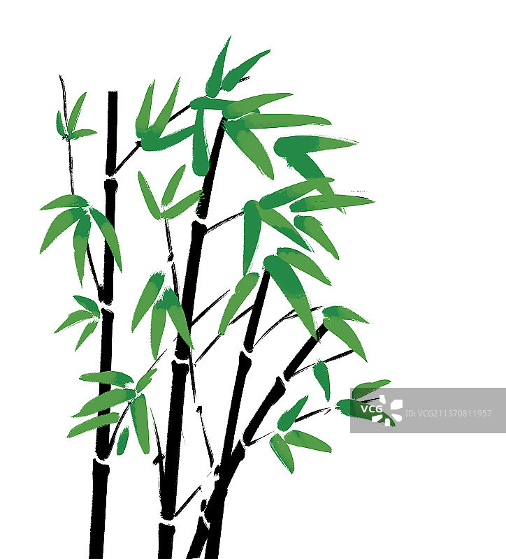 写意中国画 竹子图片素材