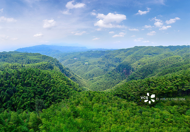 蜀南竹海全景图片素材