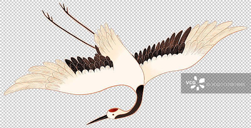 飞舞的仙鹤丹顶鹤国潮插画图片素材