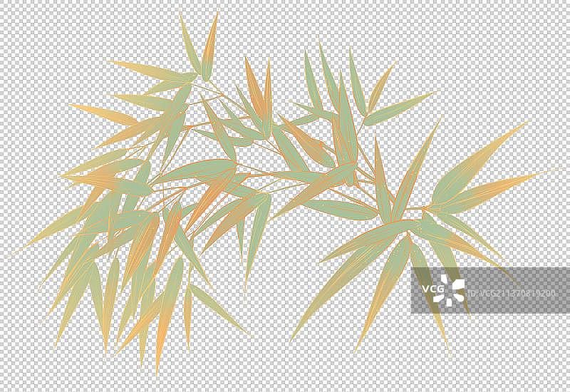 中国翠绿的竹叶国朝插画图片素材