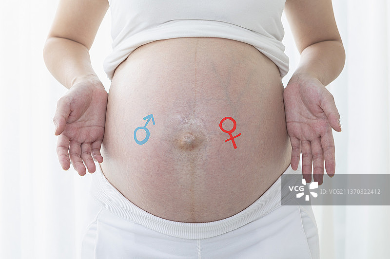 肚子上有男性与女性标志的孕妇图片素材