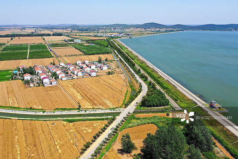 湖畔麦田+江苏省徐州市铜山区伊庄镇图片素材