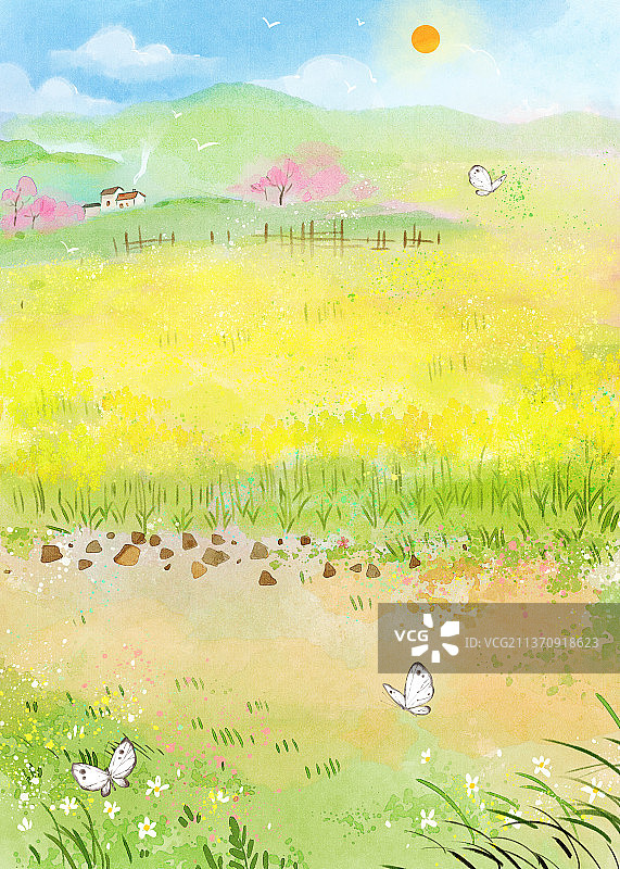 春天的油菜花田插画图片素材