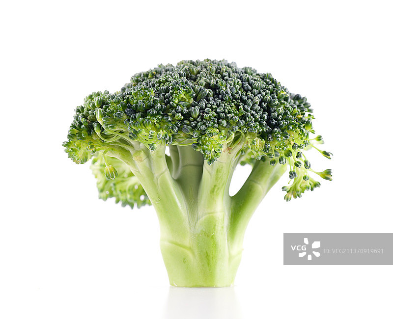 白背景上新鲜的西蓝花图片素材