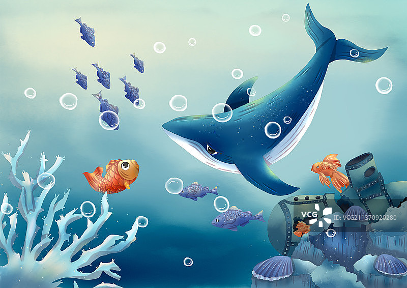 海底世界图片素材