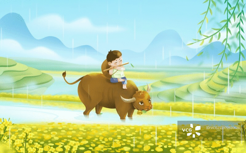 春天清明雨季中骑在牛背上的牧童图片素材