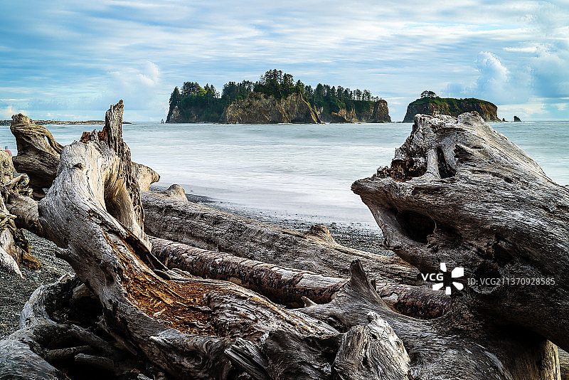 美国华盛顿州里亚托海滩的日落，海滩浮木的风景图片素材