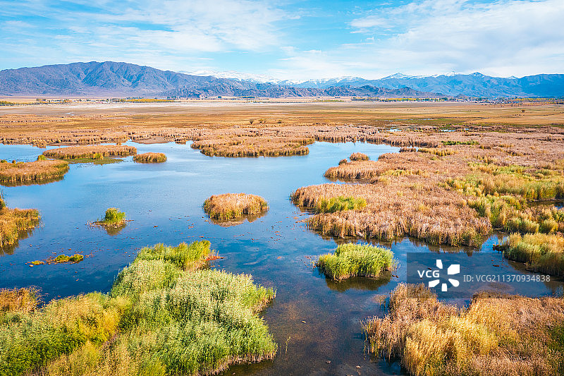 新疆阿勒泰富蕴县可可托海可可苏里野鸭湖湖泊芦苇湿地自然风光图片素材
