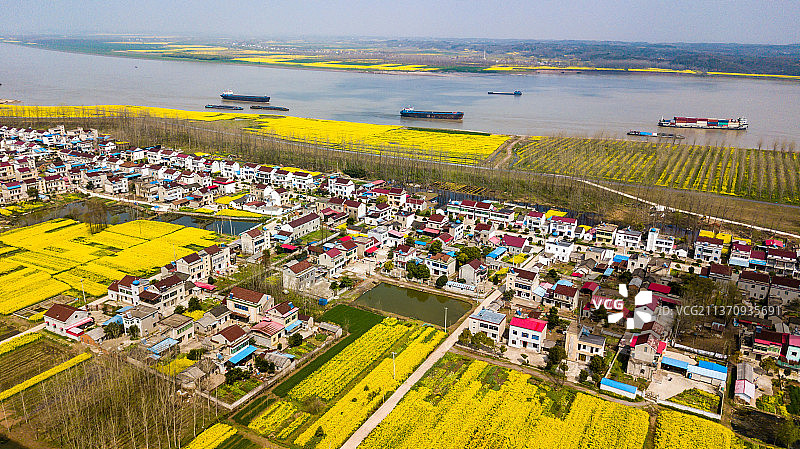 航拍长江流域村庄油菜花风景图片素材