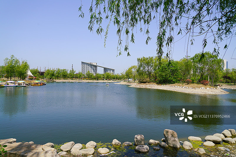 人民公园的春天+山东省菏泽市曹县人民公园图片素材