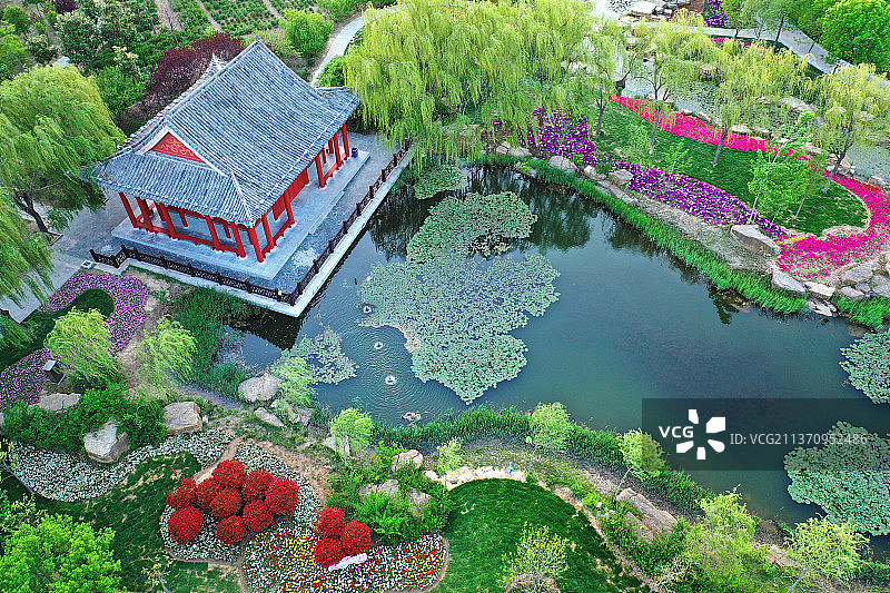 俯瞰曹州牡丹园1+山东省菏泽市牡丹区曹州牡丹园图片素材