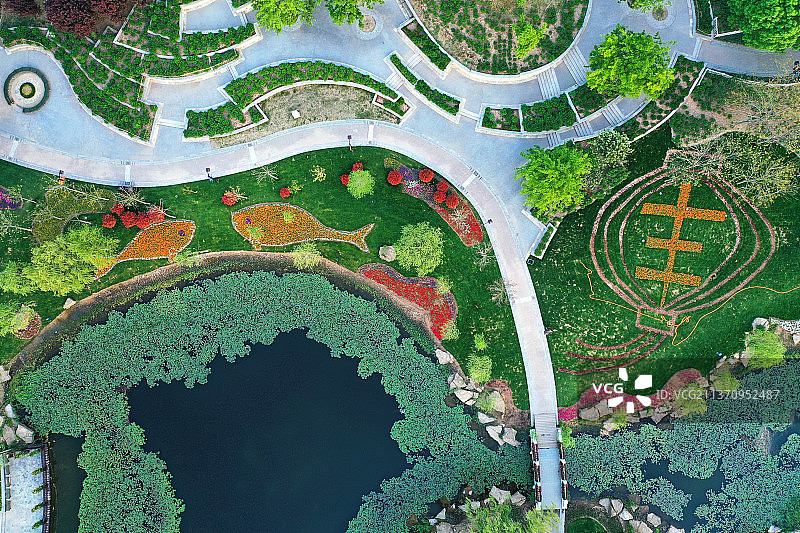 俯瞰曹州牡丹园2+山东省菏泽市牡丹区曹州牡丹园图片素材