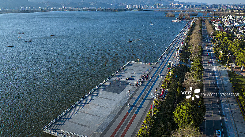 昆明海埂大坝 海鸥图片素材
