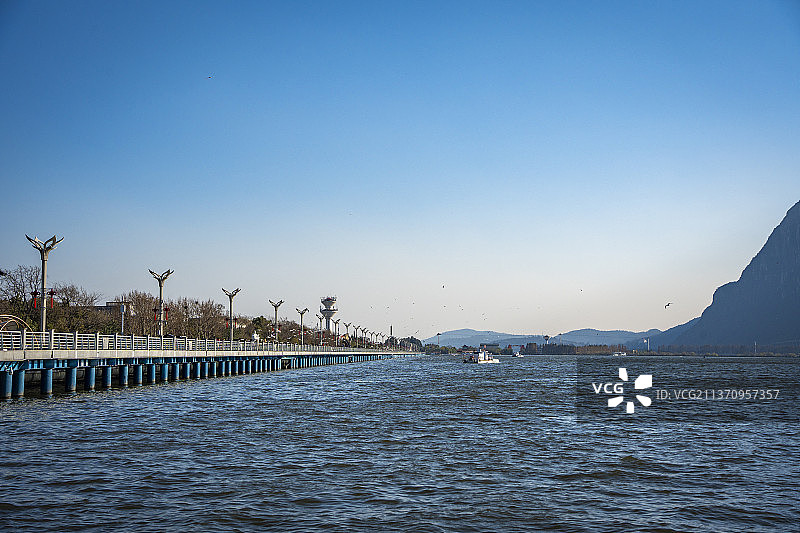 昆明海埂大坝 海鸥图片素材