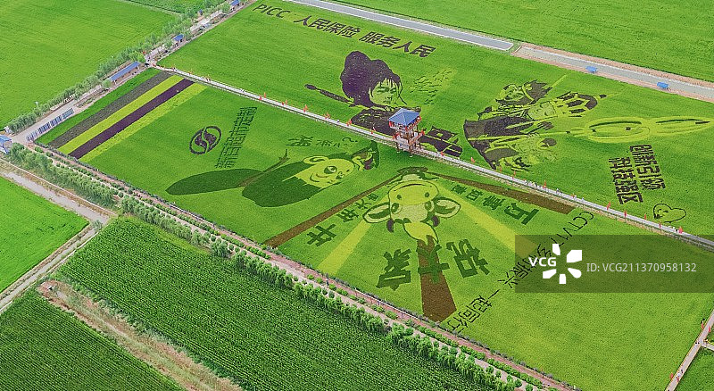 稻渔空间图片素材