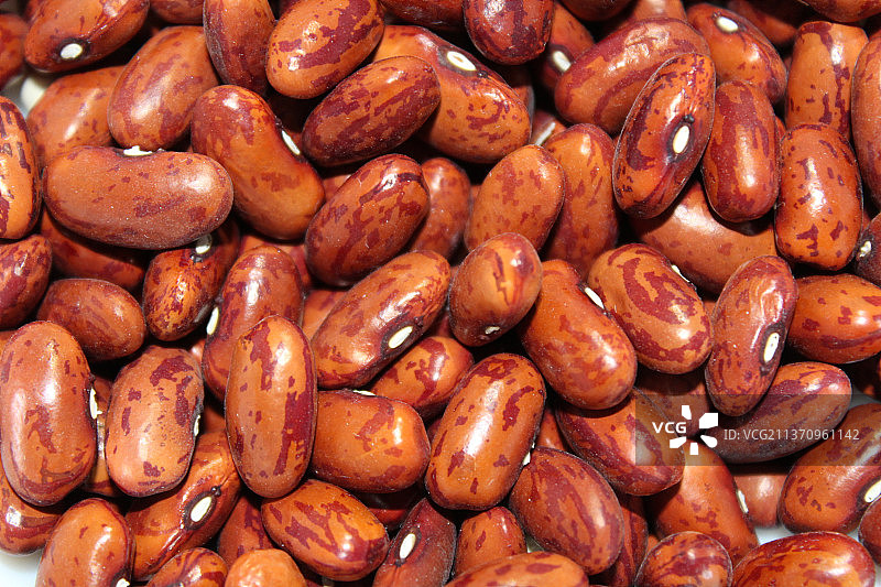 豆类的全画幅照片图片素材