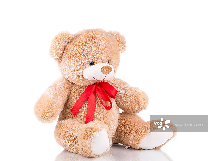 白色背景下的泰迪熊特写，摩尔多瓦图片素材