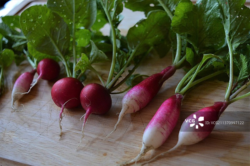 红萝卜特写图片素材