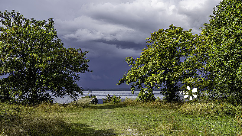 海滨风光：瑞典哥特兰岛的田野树木图片素材
