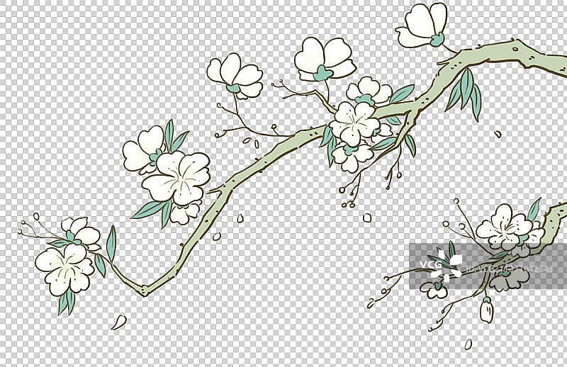 白色的花与树枝图片素材