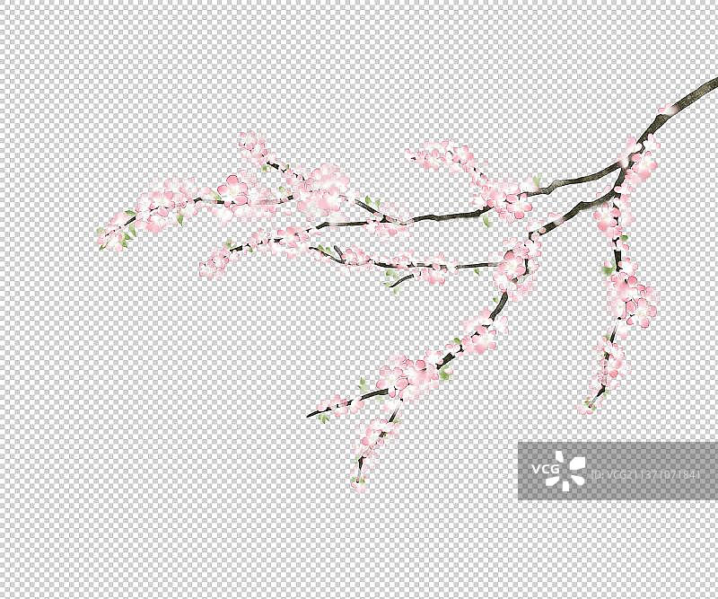 粉色桃花素材图片素材