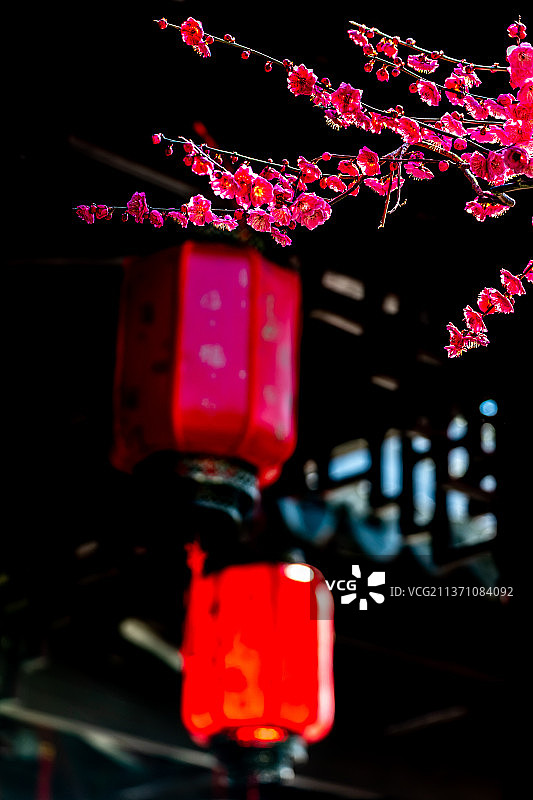 又是一年梅花季.上海嘉定南翔古猗园梅花厅里的梅花自然景观图片素材