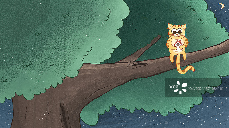 夜晚树上的猫图片素材