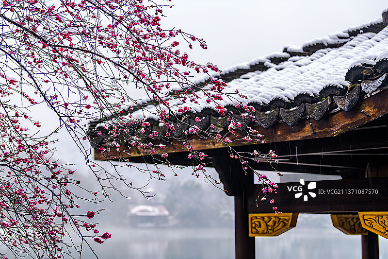 杭州浴鹄湾雪景，浙江杭州图片素材