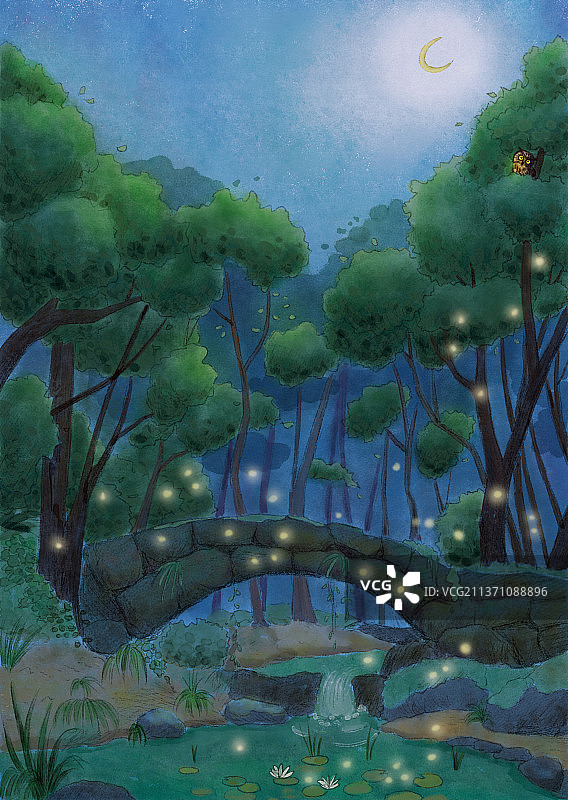 夜晚丛林图片素材