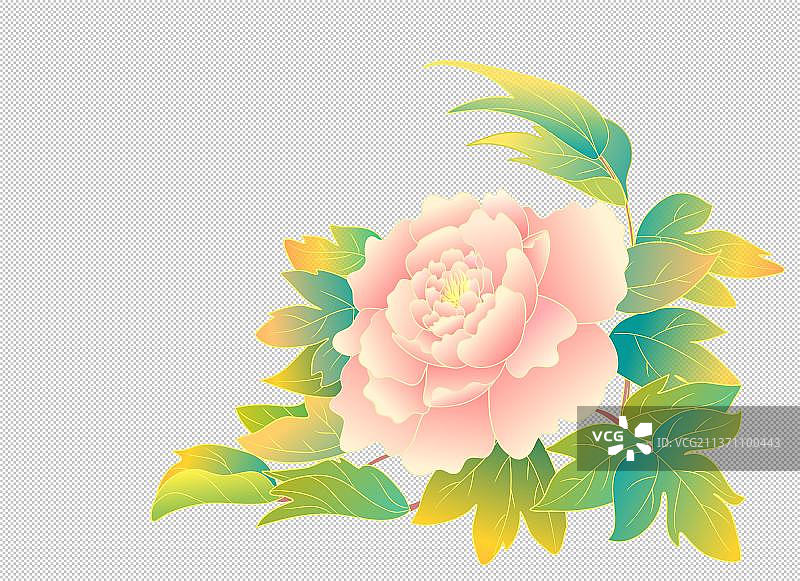 单枝牡丹花元素图片素材