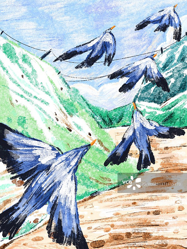 山鸟行图片素材