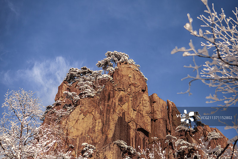 奇峰松雪朝阳染图片素材