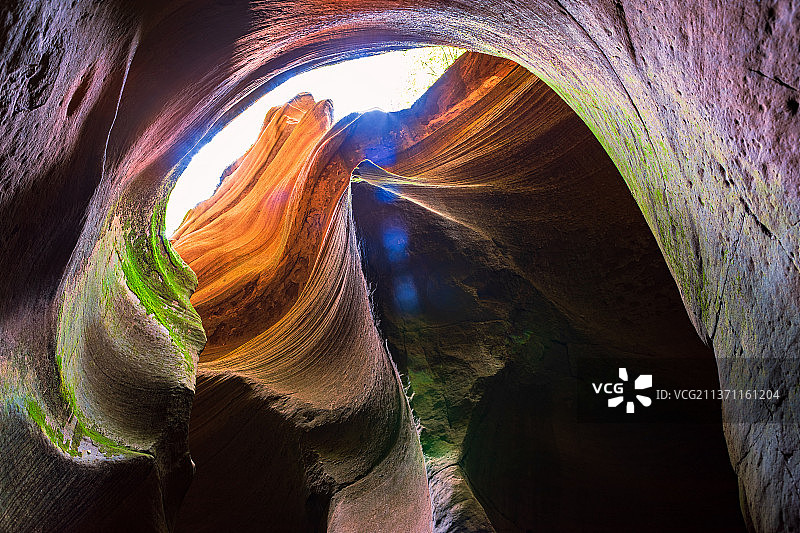 梦幻牡丹沟图片素材