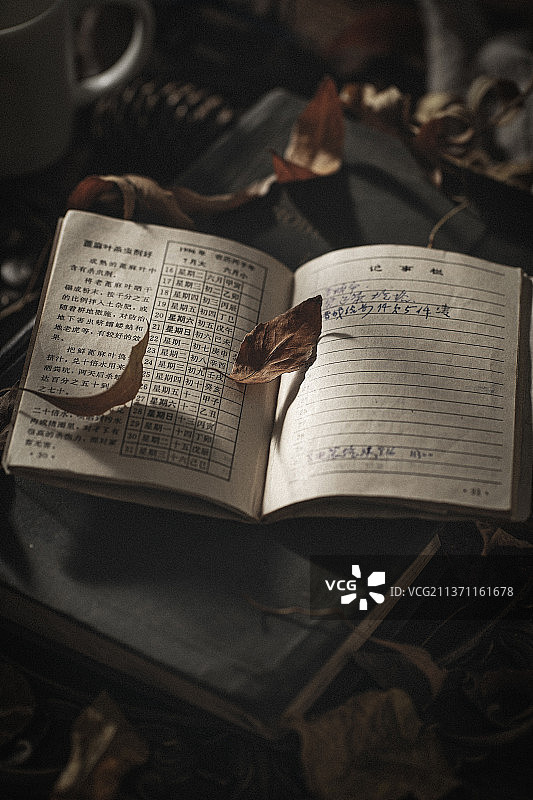 冬天桌子上有一本旧书和几片落叶和一个放大镜图片素材