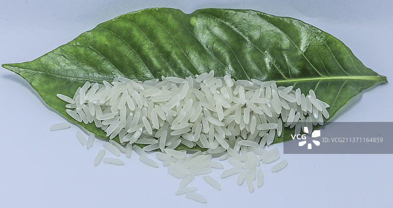 一级优质大米图片素材