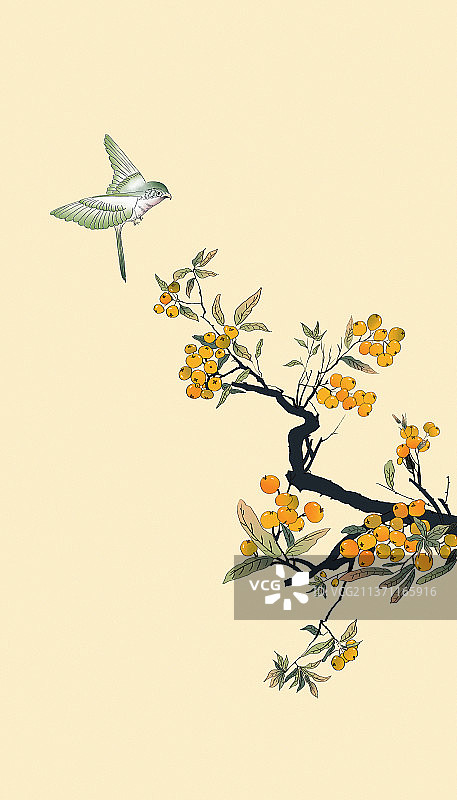 中国风水墨画枇杷树结满枇杷果图片素材