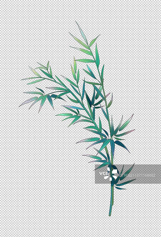 中国风竹子图片素材