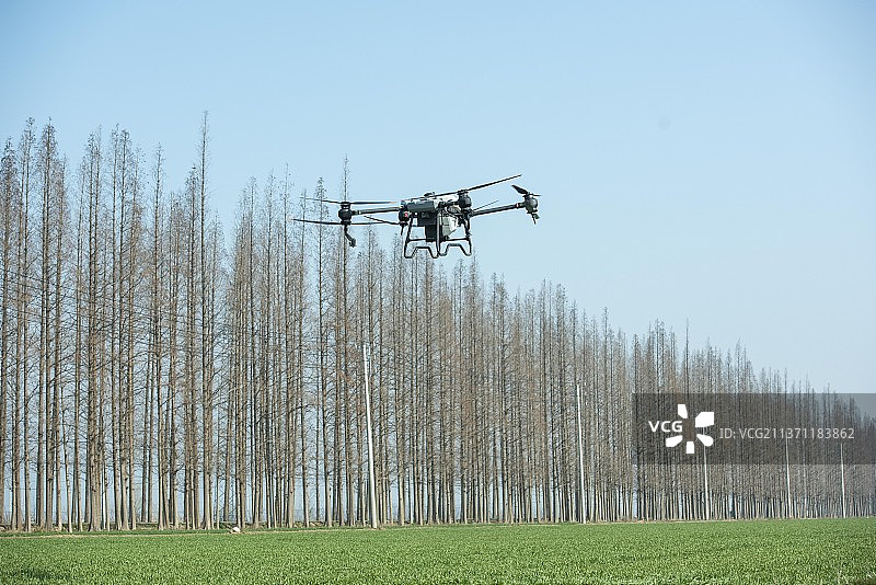 乡村麦田图片素材