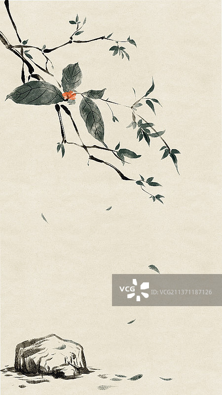 树石头花小景图片素材