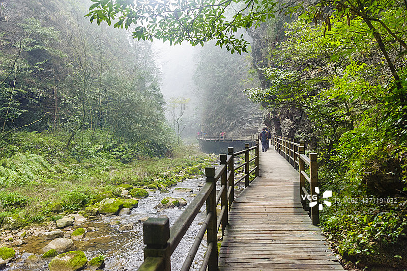 中国湖南张家界大峡谷图片素材