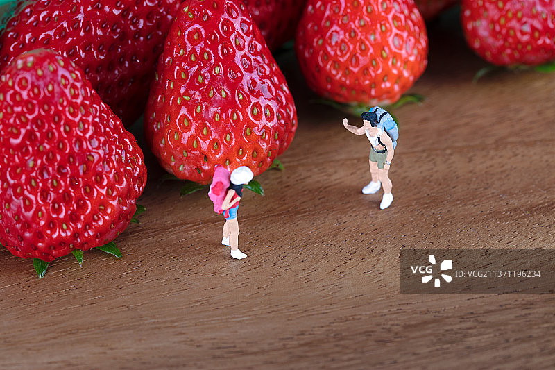 微缩世界里草莓旁边相遇的驴友图片素材