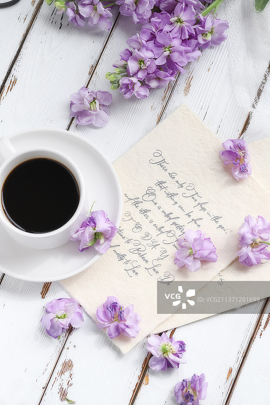 紫罗兰图片素材