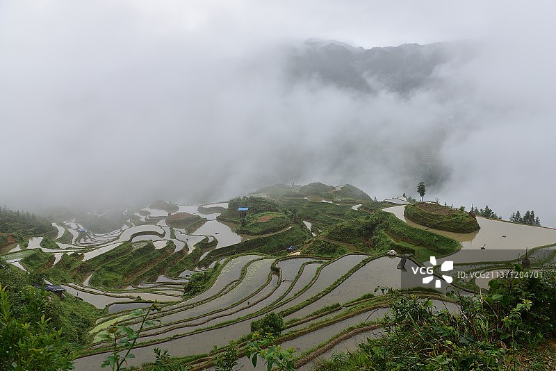 加榜梯田-14图片素材
